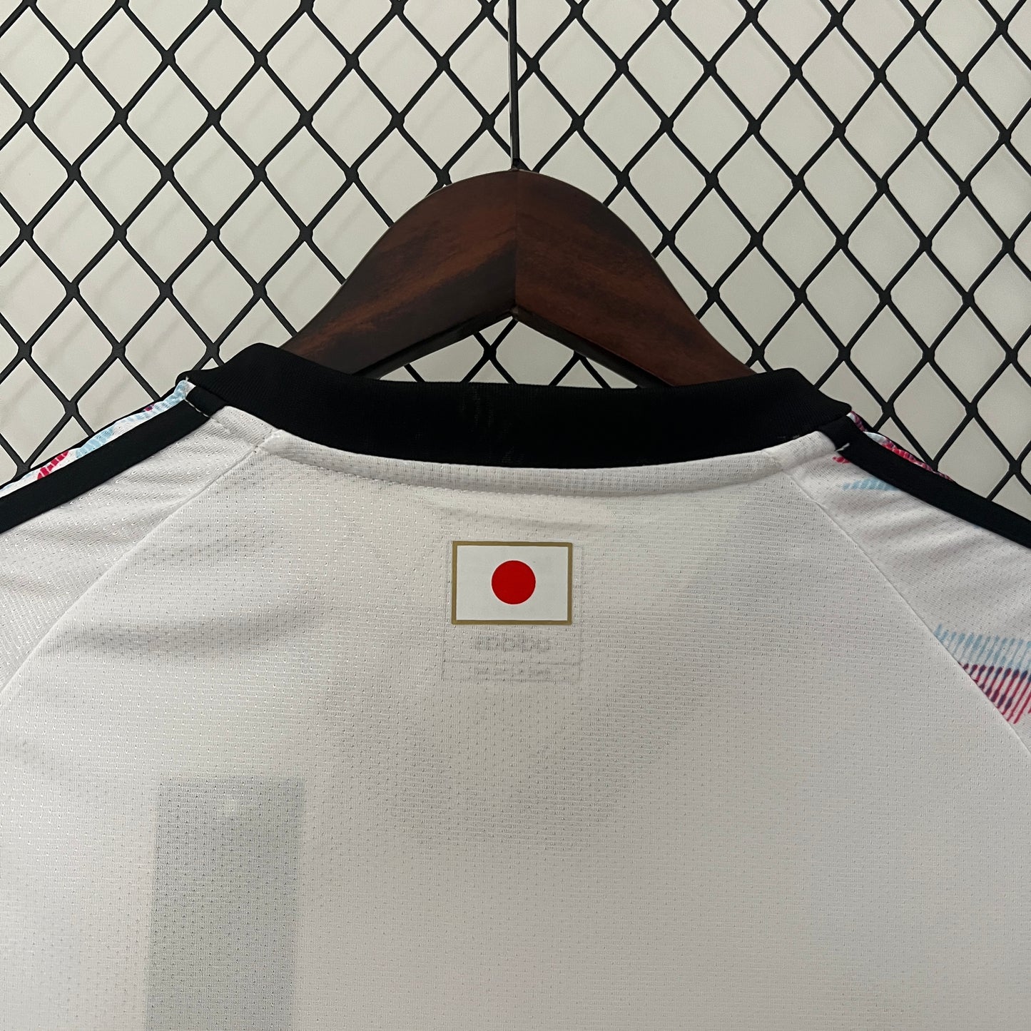 Japón 2024 - Special Edition